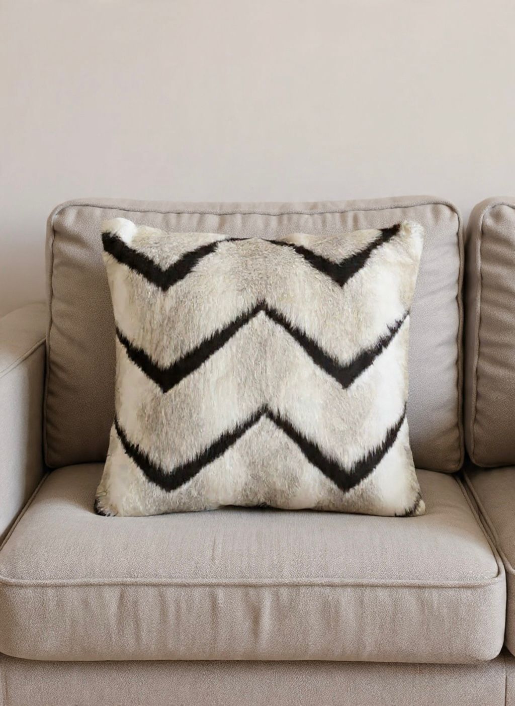 Cloud Plush Cushion cover