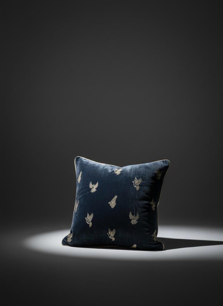 Wishborne Velvet Cushion cover